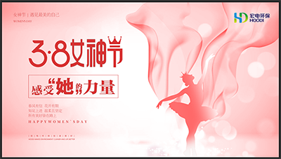 【宏电新闻】致敬“她”力量——宏电环保集团举行女神节活动